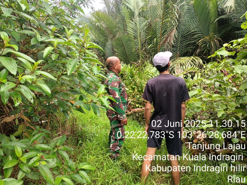 Patroli Babinsa: Upaya Mencegah Karhutla di Wilayah Koramil 04/Kdr