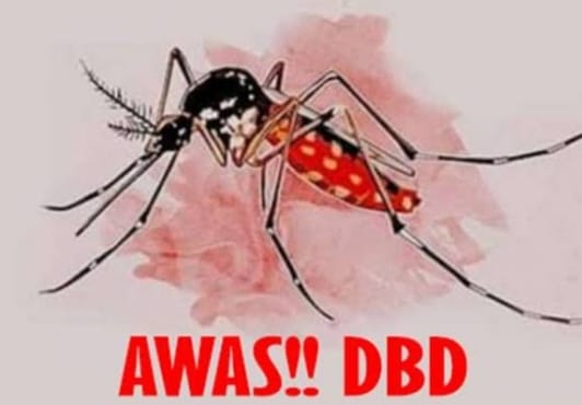 Pekanbaru Nomor Satu Kasus DBD di Riau