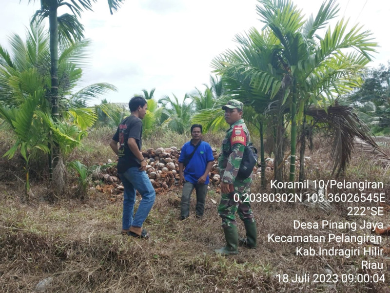 Dengan Adanya Perubahan Cuaca, Babinsa Koramil 10/Pelangiran Turun Lakukan Patroli Karhutla