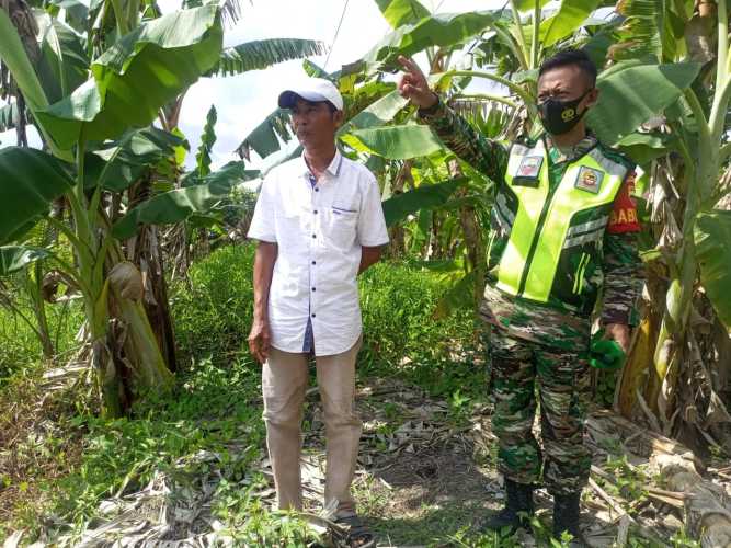 Babinsa Koramil 04/Kuindra Peduli Terhadap Lingkungan Bersama Masyarakat