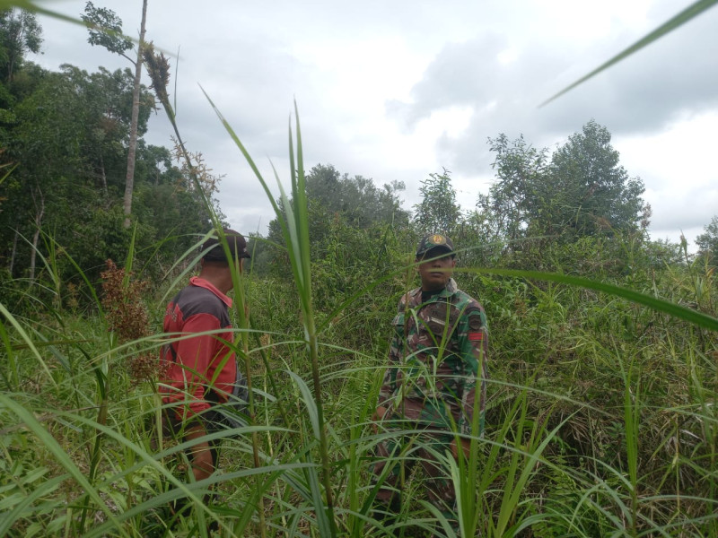 Babinsa Koramil 05/Gas Rutin Melaksanakan Patroli dan Sosialisasi Stop Karhutla Kepada Masyarakat