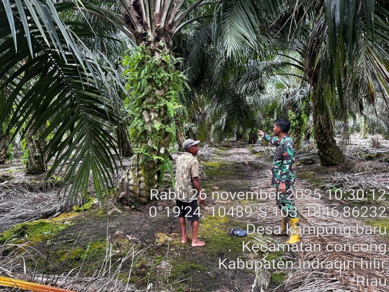 Babinsa Pratu J. Sembiring Wujudkan Kepeduliannya Kepada Masyarakat Melalui Patroli Tapal Batas