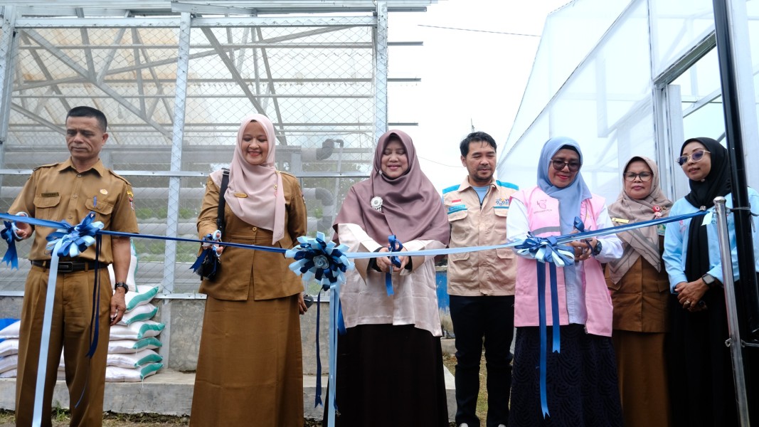 PLN UIP3B Sumatera Wujudkan Pemberdayaan Perempuan Melalui Green House Hidroponik KWT Kemuning Indah