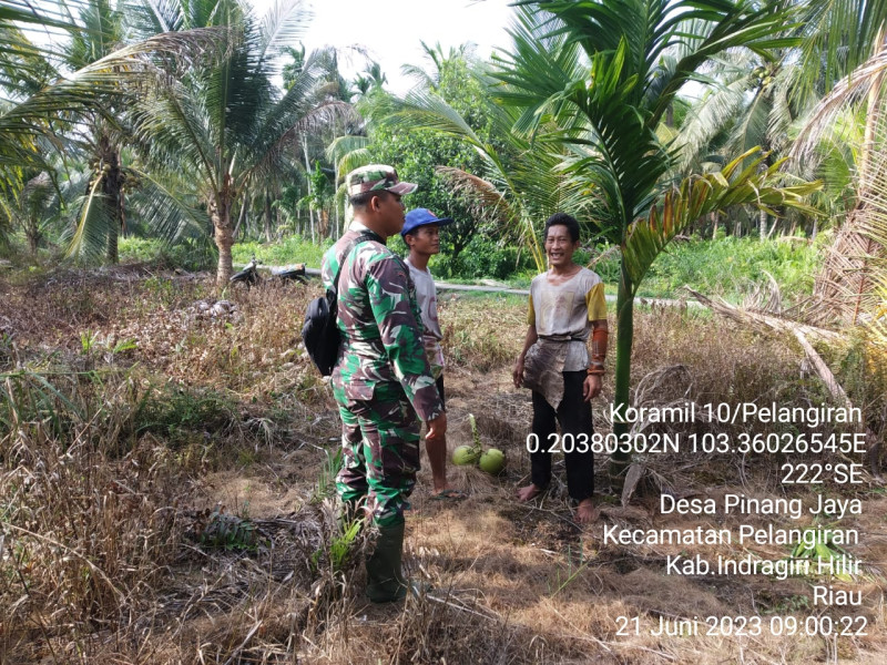 Babinsa Koramil 10/Pelangiran Pantau Titik Api di Lahan dan Hutan Warga