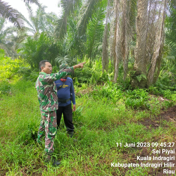Babinsa Koramil 04/Kuindra Agar Selalu Waspada Terhadap Karlahut