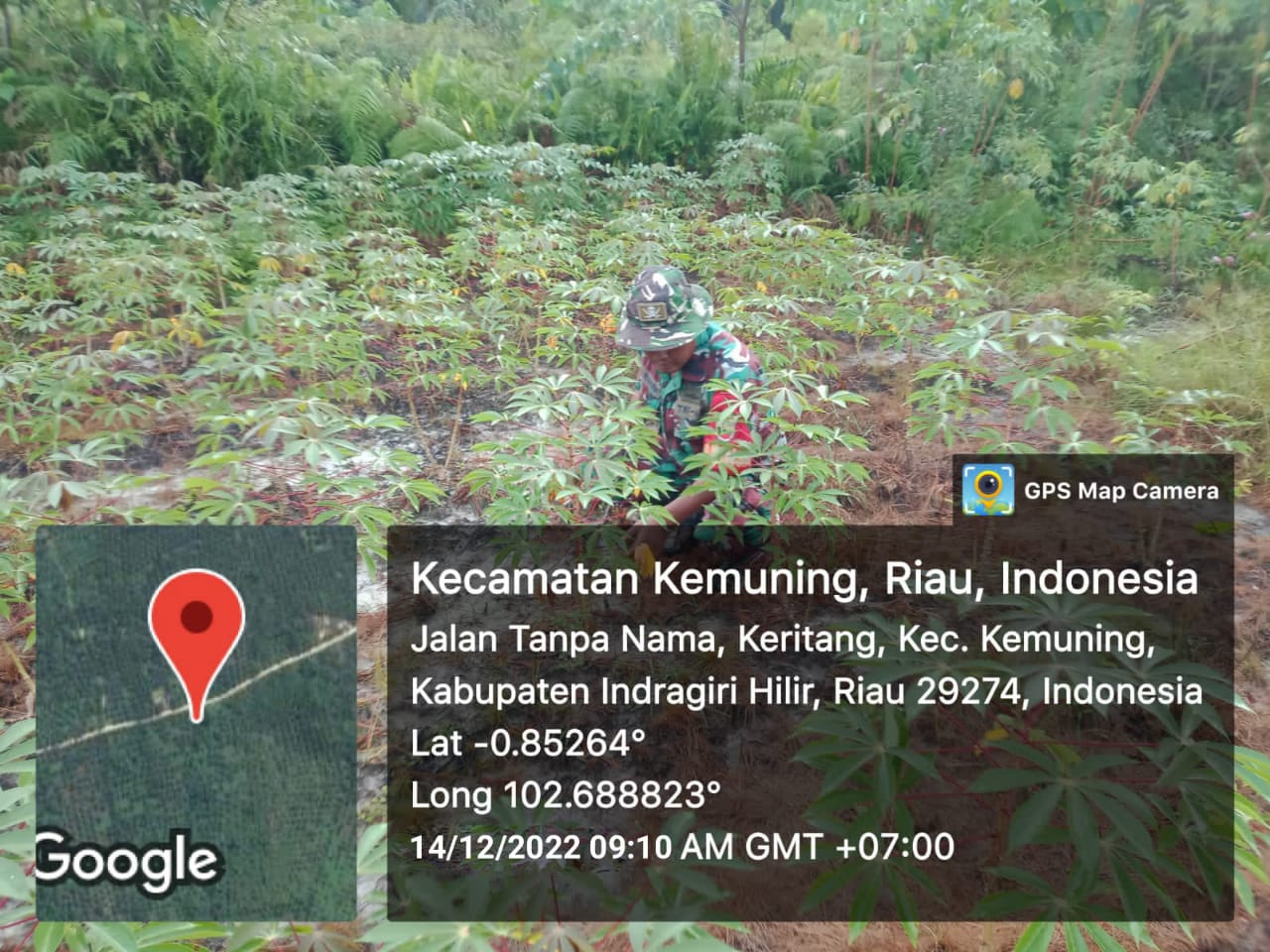 Upaya Pembersihan Tanaman Liar Oleh Koramil 09/Kemuning