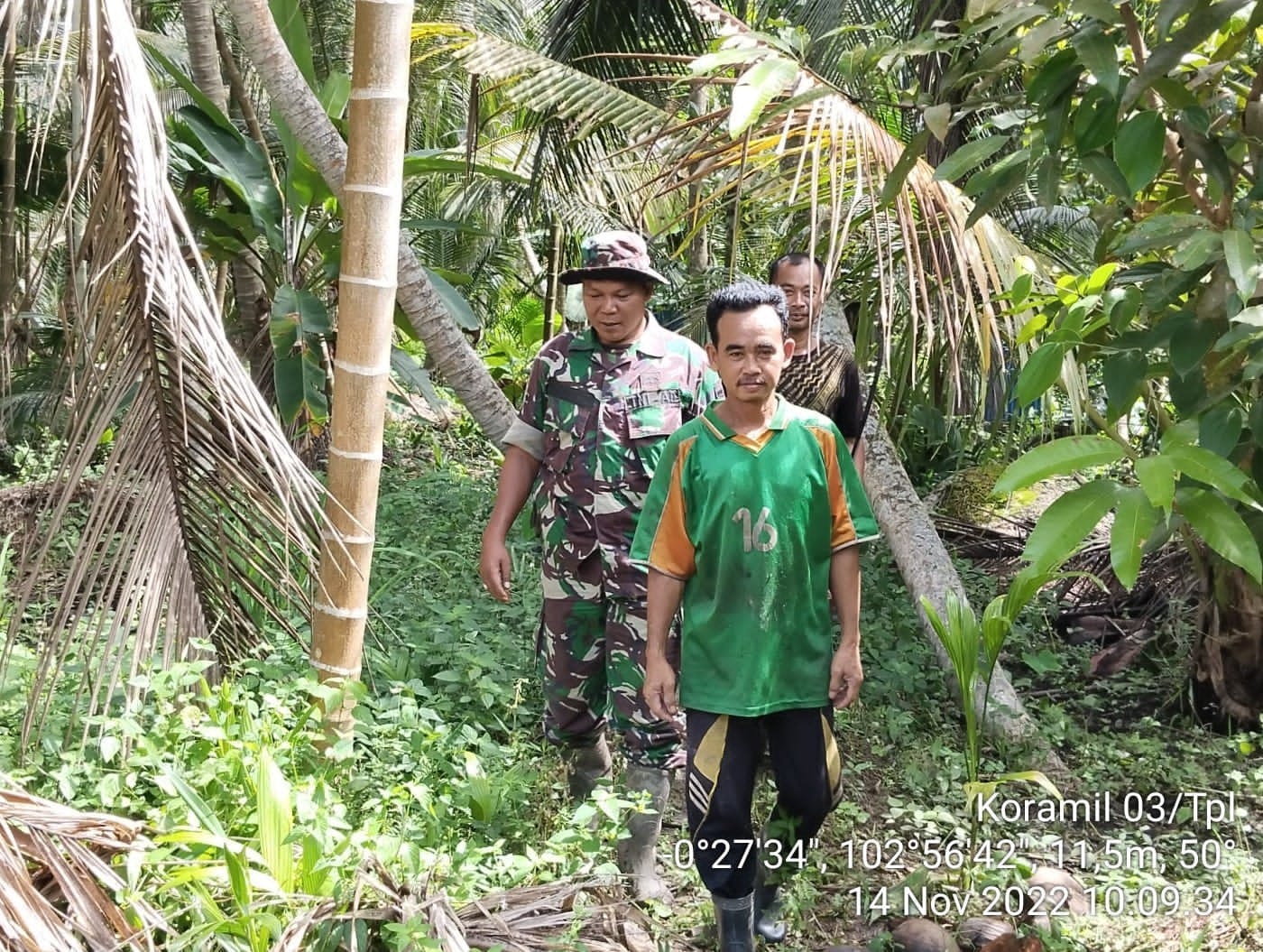 Susuri Kebun Kelapa, Babinsa Koramil 03/Tpl dan Warga Patroli Karhutla
