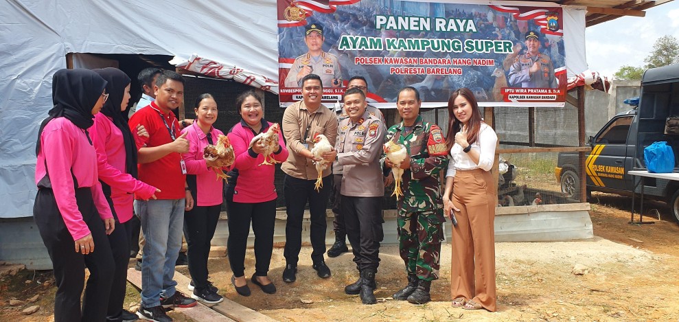 Panen Raya Ayam Kampung Super Tahap I Polsek Kawasan Bandara Hang Nadim, Dukung Program Asta Cita Presiden RI dalam Swasembada Pangan Panen Raya Ayam Kampung Super Tahap I Polsek Kawasan Bandara Hang Nadim, Dukung Program Asta Cita Presiden RI dalam Swasembada Pangan
