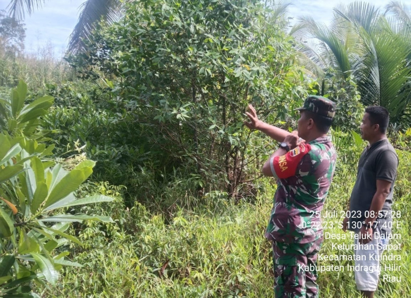 Babinsa Koramil 04/Kuindra Sampaikan Agar Tetap Waspada Terhadap Karhutla