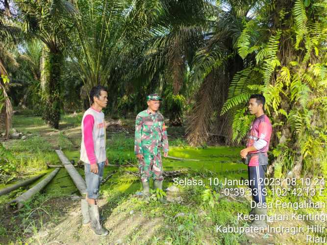 Babinsa Koramil 09/Kemuning Lakukan Pencegahan Terkait Karlahut