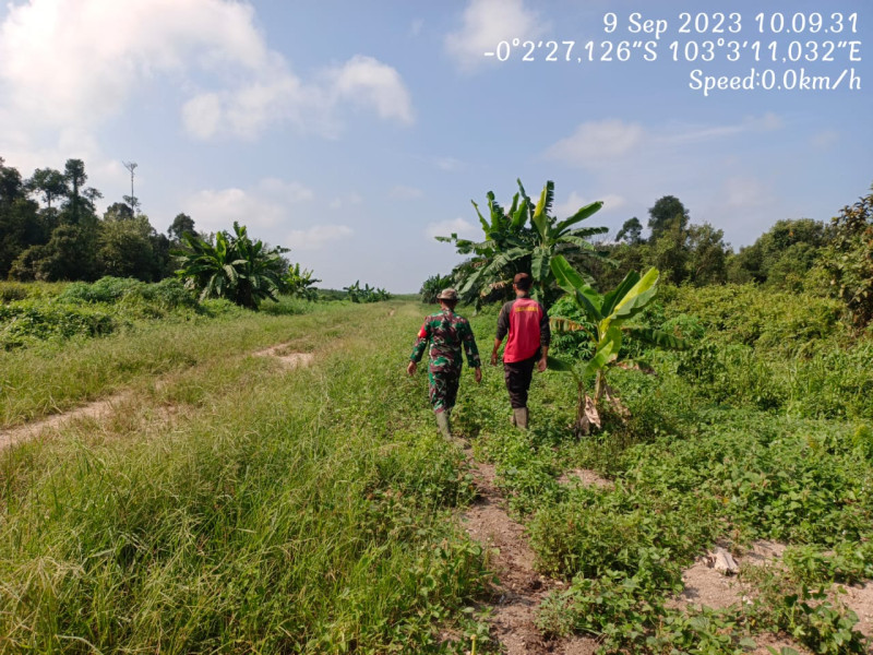 Babinsa 05/Gas Kopda Chandra Manto Lakukan Patroli dan Antisipasi Karhutla Wilayah Binaan