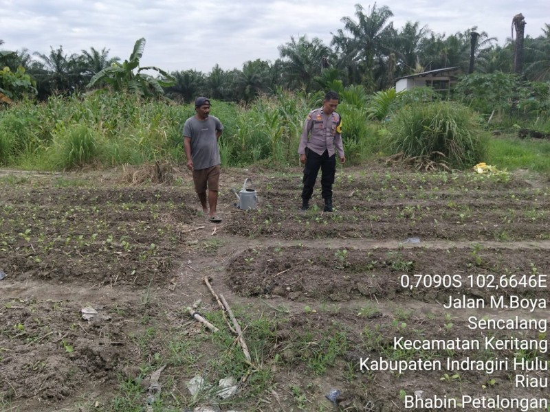 Polsek Keritang Kawal Ketahanan Pangan Dari Akar Rumput, Bukan Sekadar Wacana