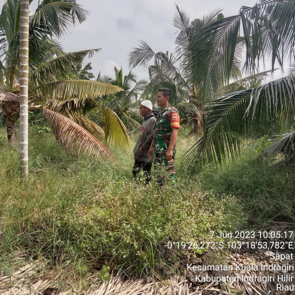 Babinsa Koramil 04/Kuindra Patroli Karlahut di Binaan Bersama Warga