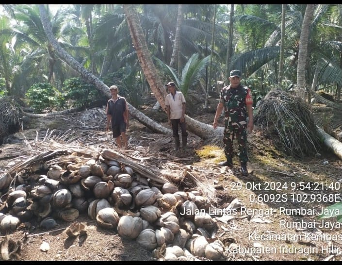 Komsos Dengan Kelompok Tani Kelapa, Ini Penyampaian Babinsa 03/Tempuling