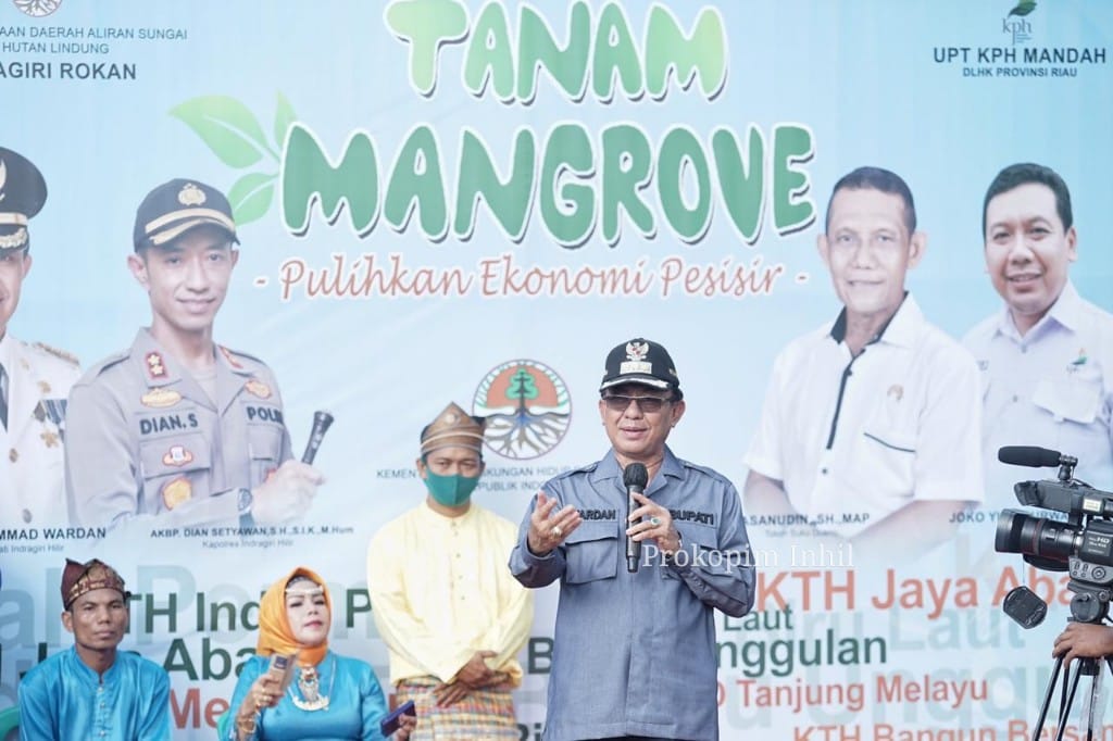 Tanam Mangrove di Sungai Bela, Bupati Inhil Canangkan Budidaya Kepiting 