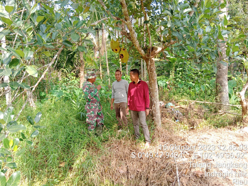Babinsa Koramil 09/Kemuning Ingatkan Warga Untuk Terus Menjaga Lahan dan Hutan Dari Kebakaran