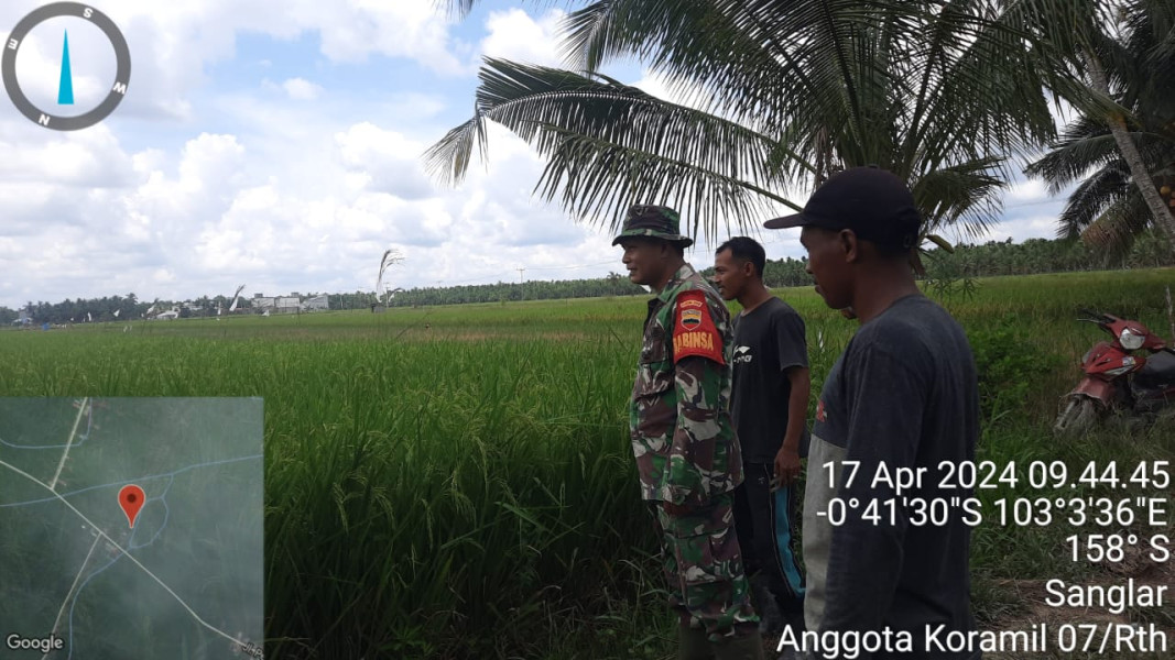 Babinsa Koramil 07/Reteh Giat Lakukan Hanpangan di Sawah Bersama Warga