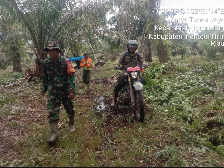 Cegah Karhutla di Desa Karya Tunas Jaya, Babinsa 03/Tpl Laksanakan Patroli Rutin