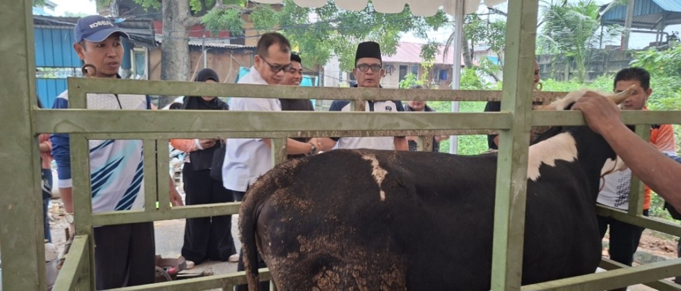Tebar Kebahagiaan Iduladha, Pegawai Bapenda Batam Gotong Royong Berkurban