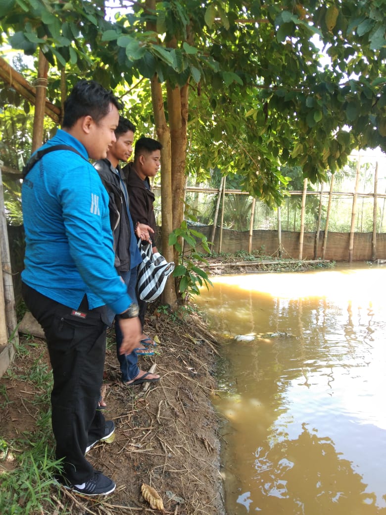 Salut... AMI Hadir Menjawab Keresahan Masyarakat Inhu di Bidang Ekonomi  Salut... AMI Hadir Menjawab Keresahan Masyarakat Inhu di Bidang Ekonomi