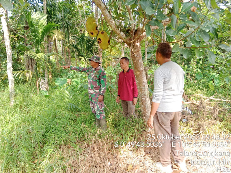 Babinsa Koramil 09/Kemuning Turun Untuk Patroli Karhutla Bersama Warga Setempat