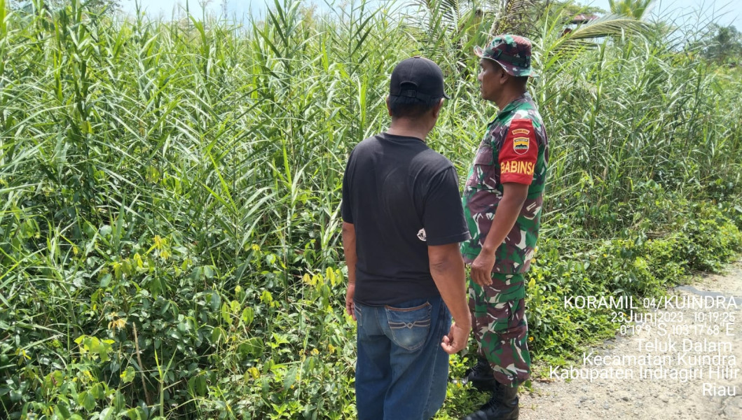 Memasuki Musim Kemarau, Babinsa Koramil 04/Kuindra Waspadai Kebarakan Lahan dan Hutan