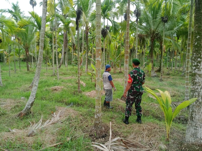 Dengan Patroli Tapal Batas, Babinsa Sertu Johansah Terus Pantau Wilayah Binaan