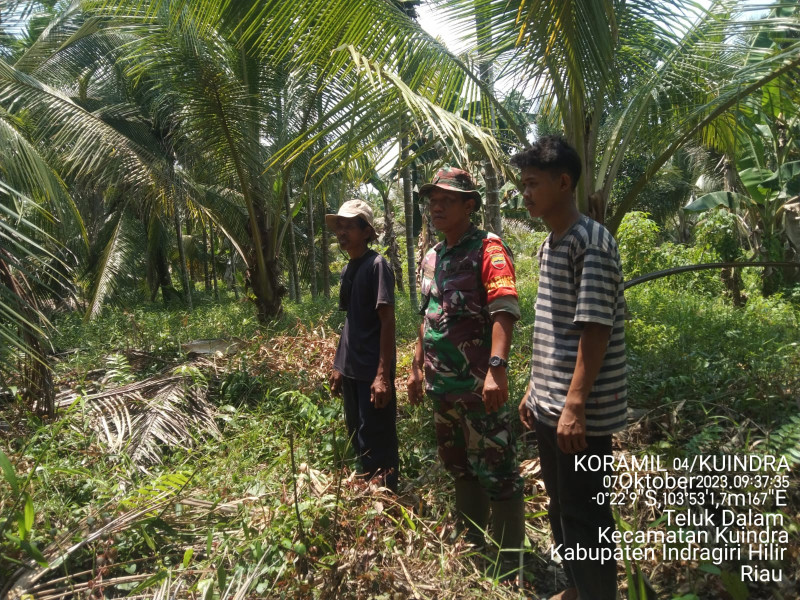 Saat Musim Kemarau Ini, Babinsa Koramil 04/Kuindra Terus Memantau Titik Api Karhutla