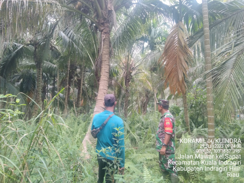Babinsa Koramil 04/Kuindra Terus Telusuri Hutan dan Lahan Guna Memantau Titik Api