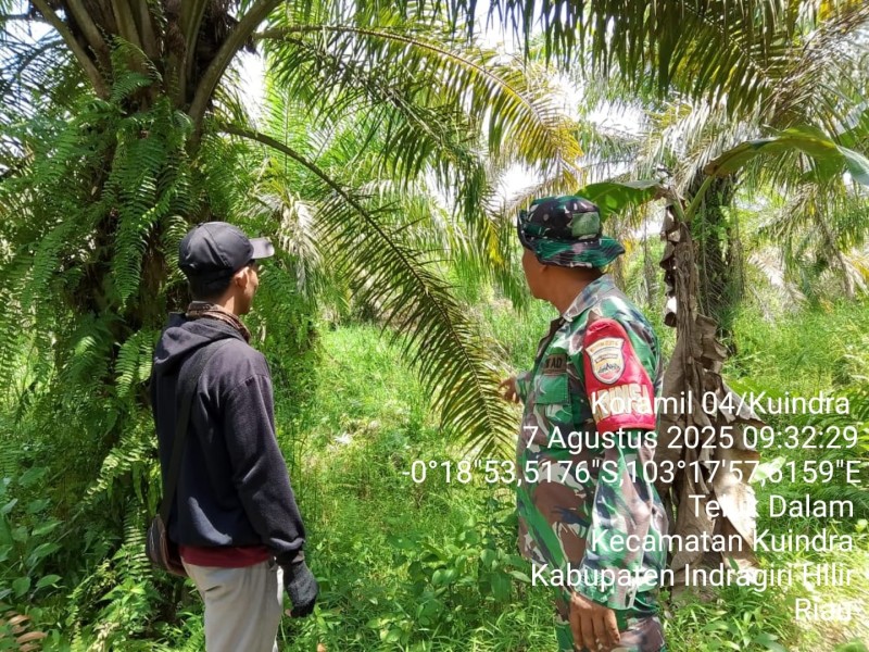Karhutla: Babinsa Koramil 04/KDR Laksanakan Patroli untuk Mencegah Kebakaran Hutan dan Lahan
