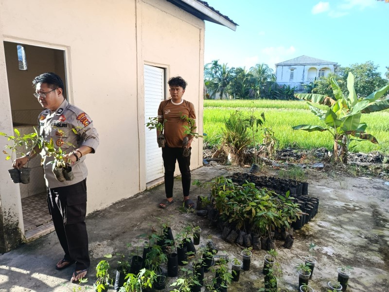 Dari Bank Pohon Ke Lahan Warga, Polsek Keritang Kawal Ketahanan Pangan Dari Akar