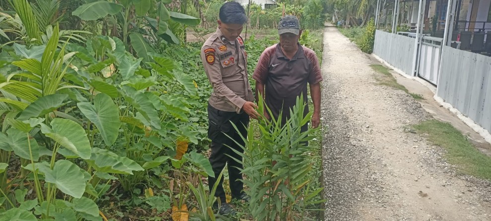 Kapolsek Enok Perintahkan Pendampingan Pekarangan, Himbau Warga Rawat Tanaman dari Hama