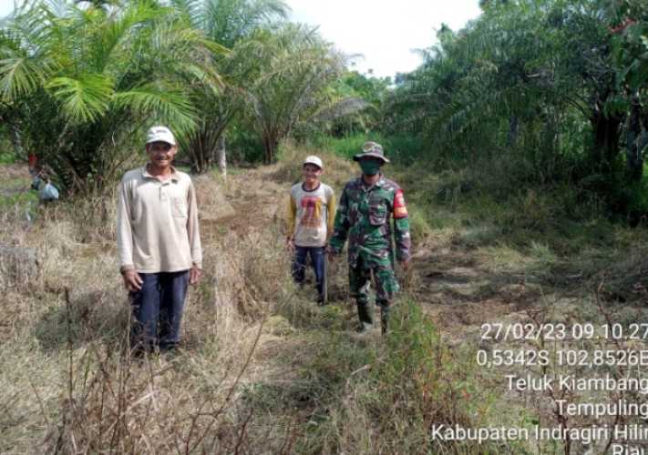 Cegah Kebakaran Hutan Dan Lahan, Babinsa Koramil 03/Tpl Lakukan Patroli