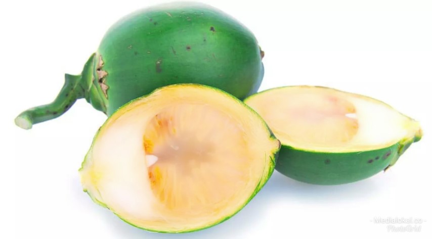 Khasiat Buah Pinang untuk Kesehatan, Yuk Simak Disini 