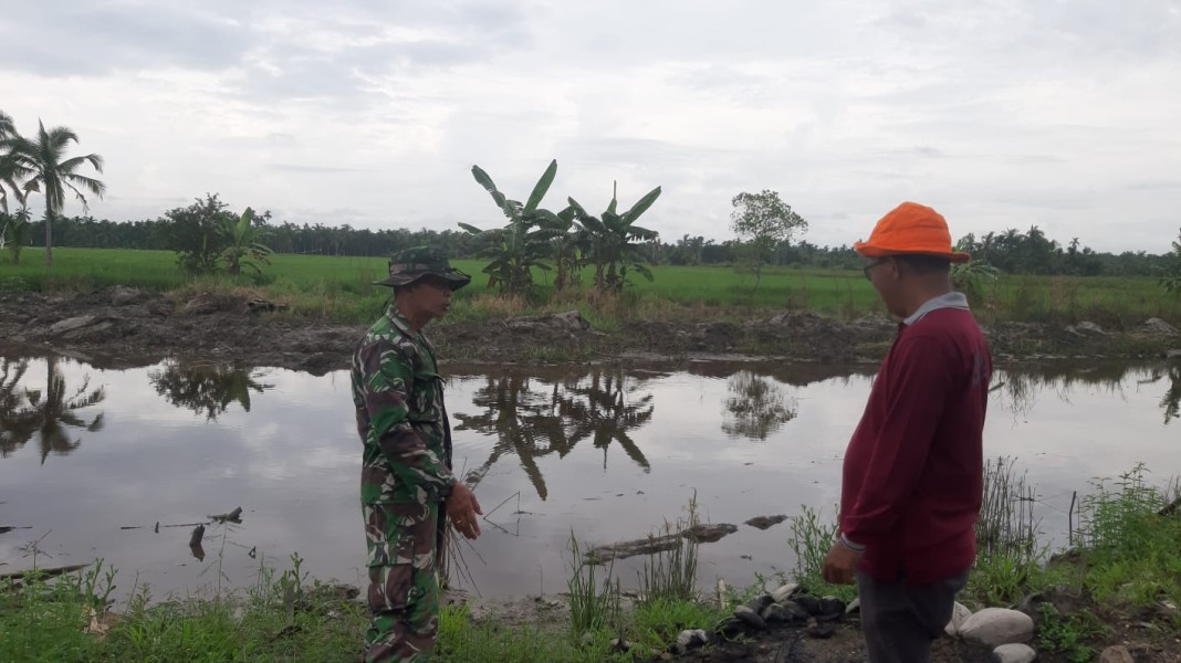 Ketahanan Pangan: Babinsa Koramil 07/Reteh Bersama Masyarakat Petani