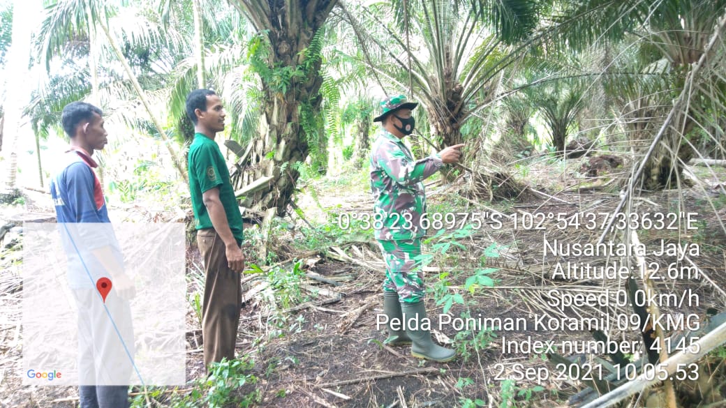 Babinsa Rutin Patroli dan Sosialisasi Cegah Karhutla di Wilayah Desa Lintas Utara