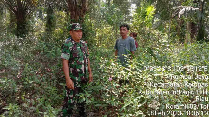 Upaya Pencegahan Kalahut Terus Dilakukan Oleh Babinsa Koramil 03/Tpl Dengan Patroli