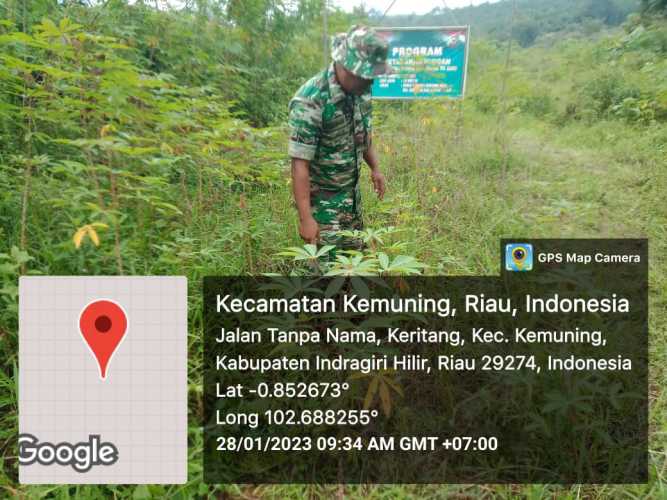 Koramil 09/Kemuning Selalu Upayakan Pembersihan Gulma