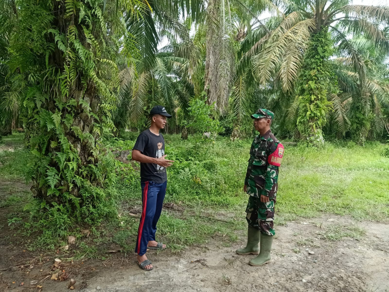 Babinsa Koramil 09/Kemuning Himbau Masyarakat Untuk Lakukan Patroli Rutin Karlahut