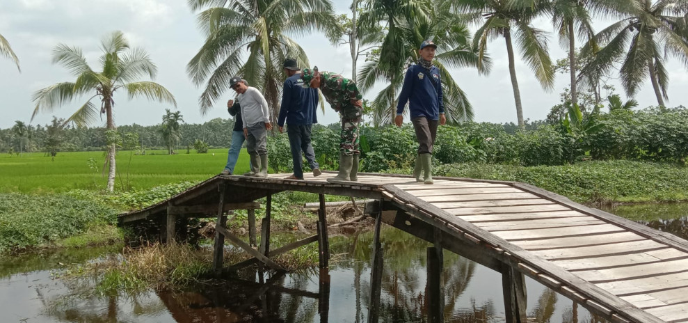 Dukung Program Pemerintah di Bidang Ketahanan Pangan, Babinsa Koramil 07/Reteh Bantu Para Petani Dalam Perawatan Tanaman Padi