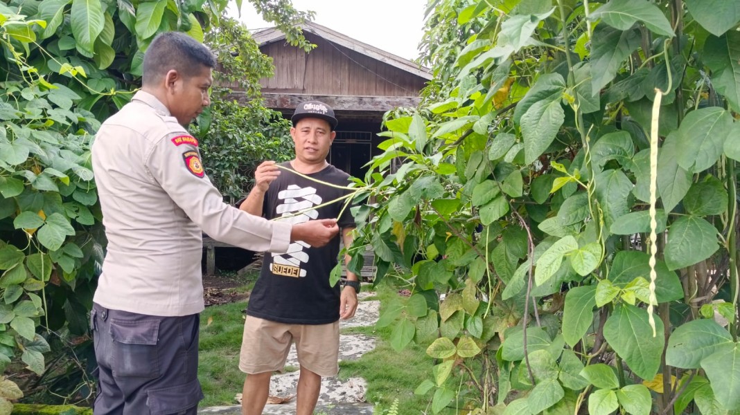 Sinergi Polsek Enok Dan Warga Jaga Swasembada Pangan Dari Pekarangan Rumah