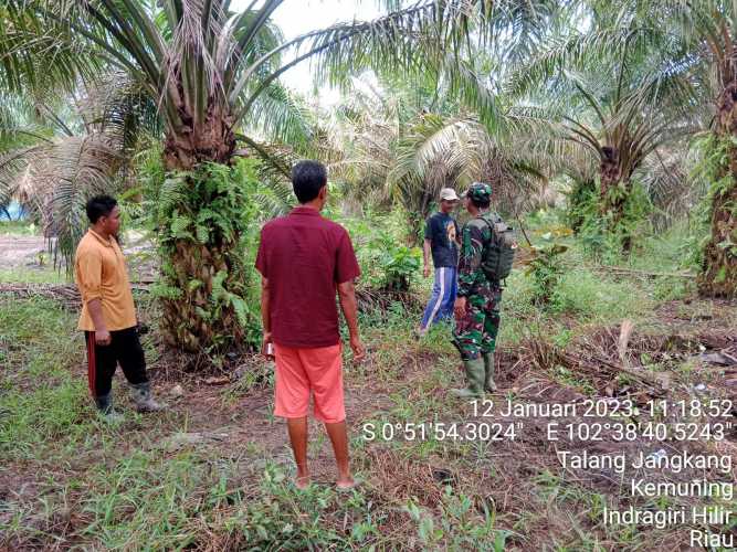 Babinsa Koramil 09/Kemuning Cegah Karhutla Melalui Patroli dan Sosialisasi