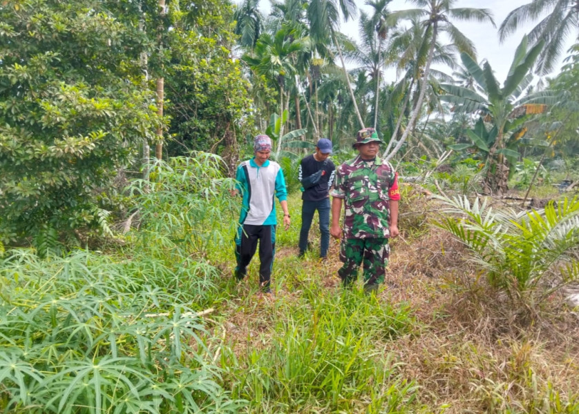 Babinsa Serka J. Siallagan Koramil 03/Tpl Ajak Kepala Lingkungan Patroli Karlahut