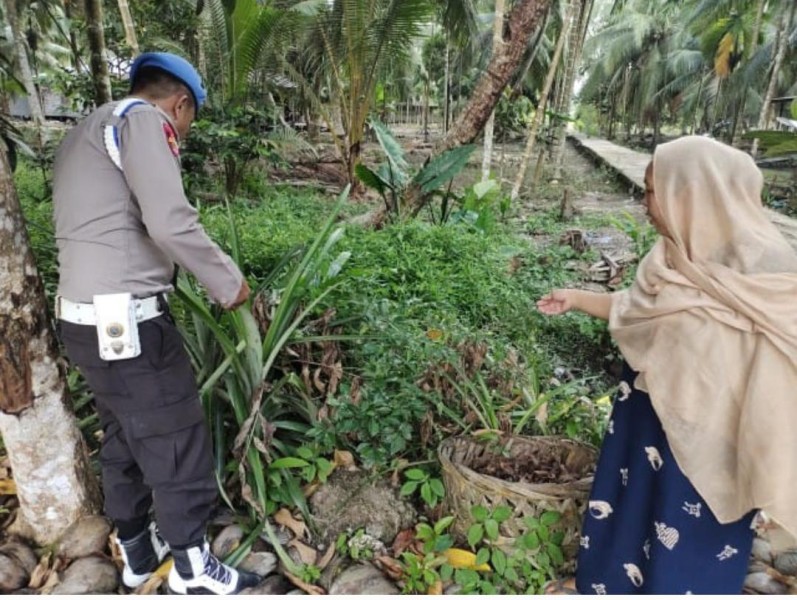 Aiptu Riki Hendra Turun ke Lorong Petern, Cabe dan Jahe Merah Enok Jadi Sorotan