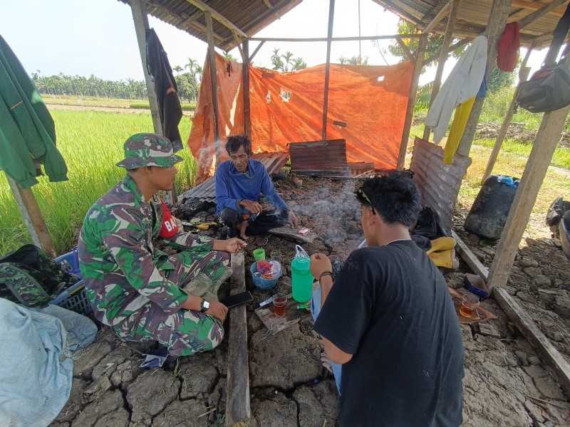 Sawah yang Subur, Masa Depan yang Cerah: Babinsa Koramil 03/Tpl Serda Suirwansah Jalin Komsos dengan Petani
