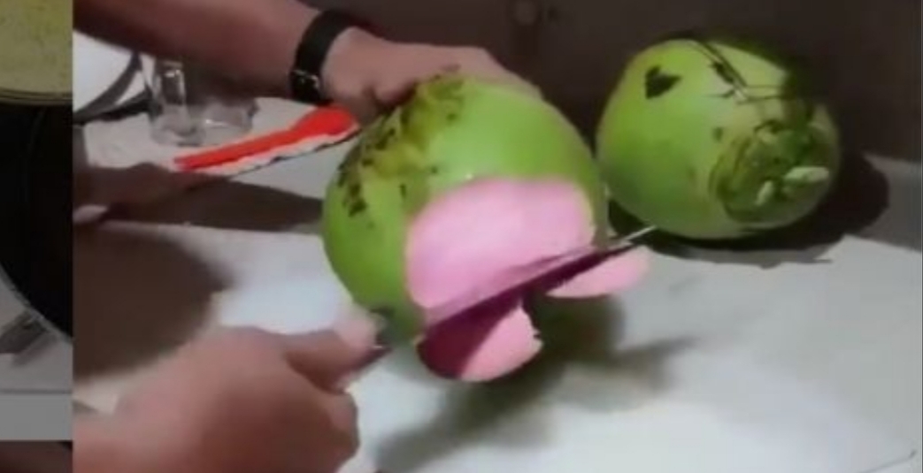 Kelapa Muda Kulit Dalam Bewarna Pink, Netizen Debat Soal Namanya Kelapa Muda Kulit Dalam Bewarna Pink, Netizen Debat Soal Namanya