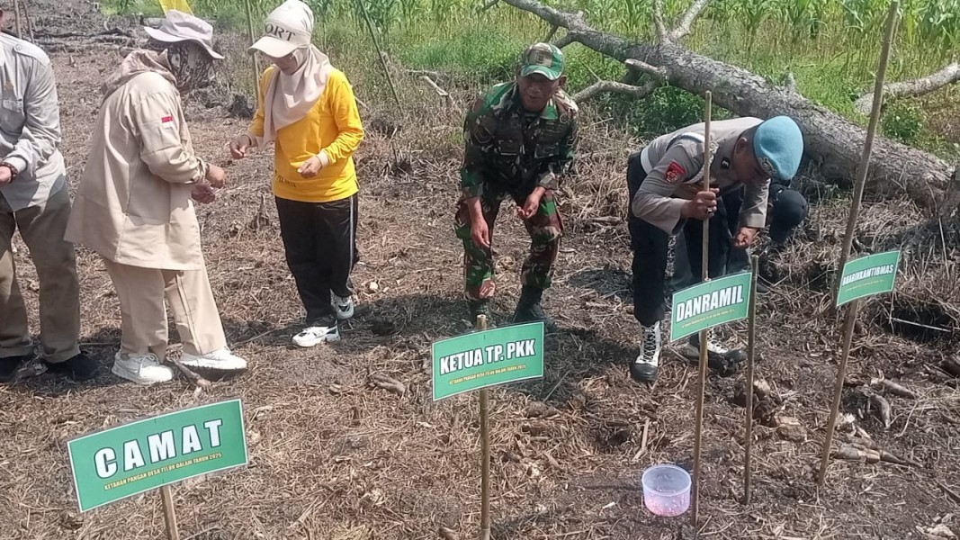 Danramil 04/Kuindra Turut Sukseskan Acara Ketahanan Pangan Penanaman Jagung