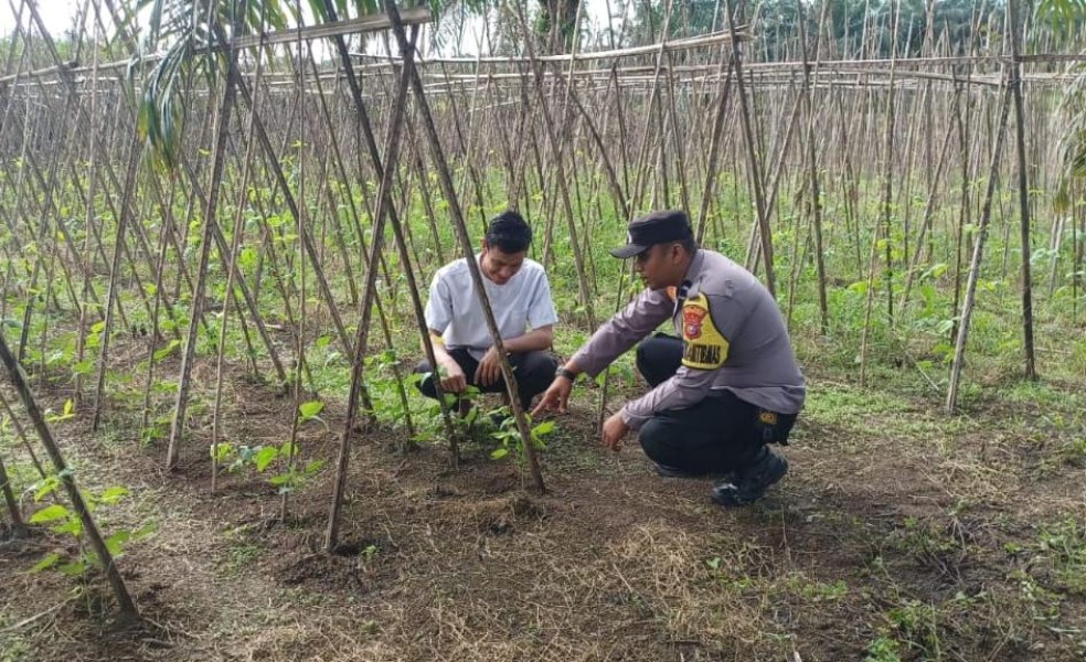 Program Pekarangan Pangan Bergizi di Rengat Barat Diharapkan Jadi Sumber Pangan Mandiri