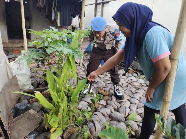 Ketahanan Pangan dari Perkarangan, Polsek Enok Dampingi Warga Enok Tiap Hari
