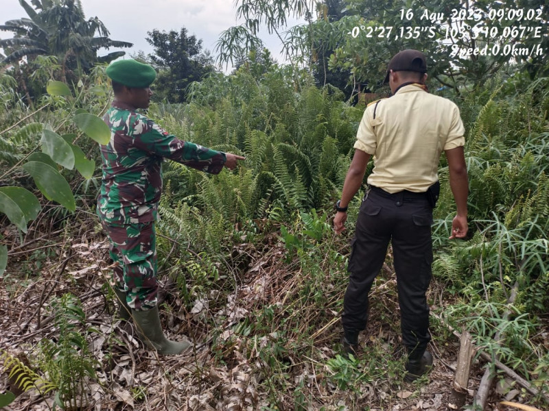Babinsa 05/Gas Kopda Chandra Manto Lakukan Patroli dan Antisipasi Karhutla di Wilayah Binaan